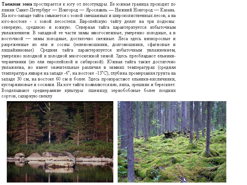 Таежная зона простирается к югу от лесотундры. Ее южная граница проходит по линии Санкт-Петербург